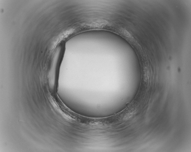 X0000052940634200507221147