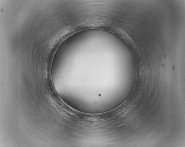 X0000052940635200507221147