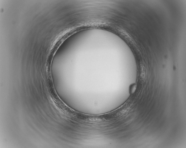 X0000052940636200507221147