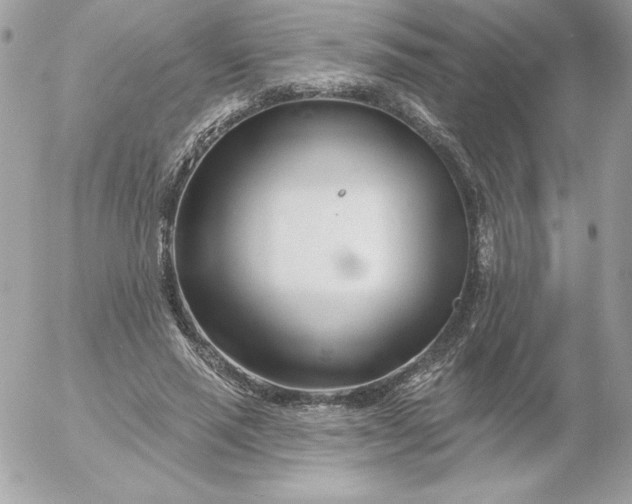 X0000052940637200507221147