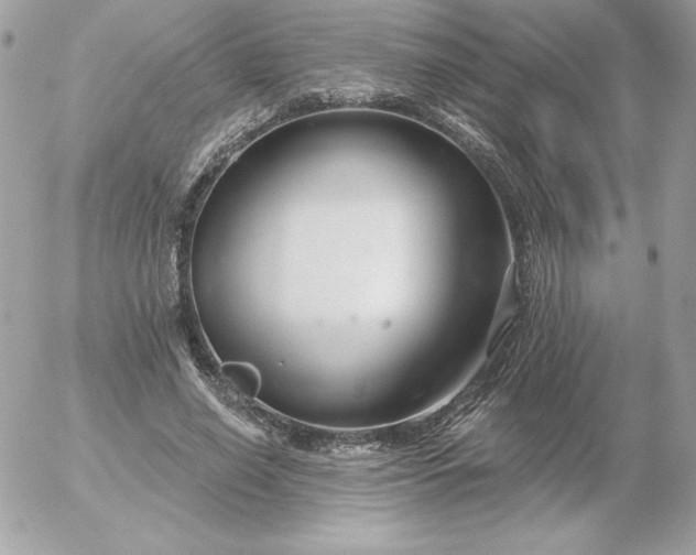 X0000052940638200507221147