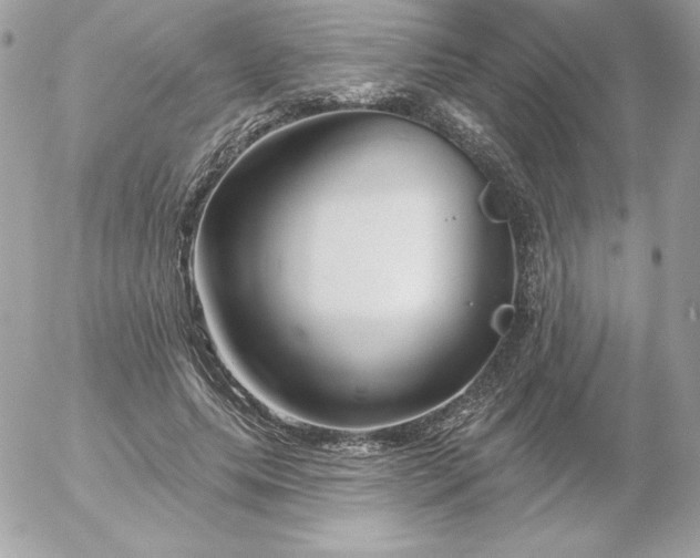 X0000052940639200507221147