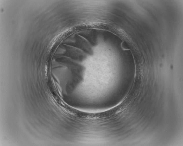 X0000052940640200507221147