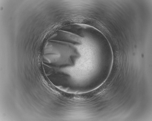 X0000052940641200507221147