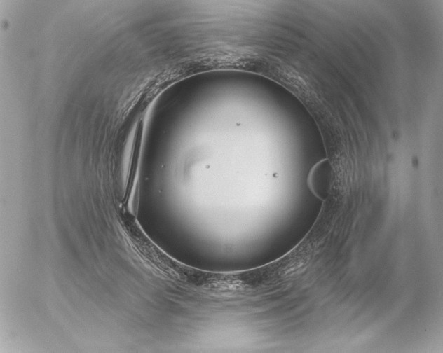 X0000052940642200507221147