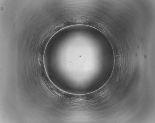 X0000052940643200507221147