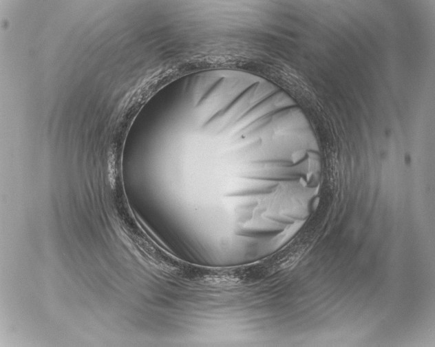 X0000052940644200507221148