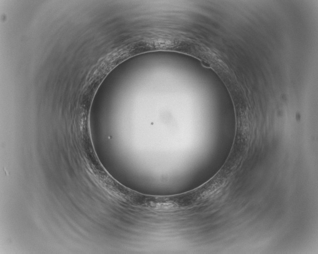 X0000052940645200507221148