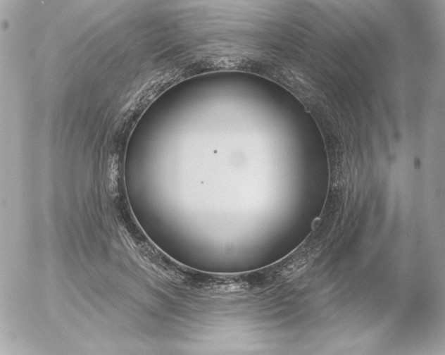 X0000052940646200507221148