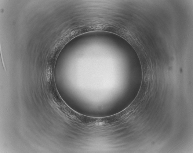 X0000052940647200507221148