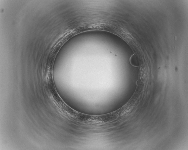 X0000052940648200507221148