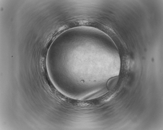 X0000052940650200507221148