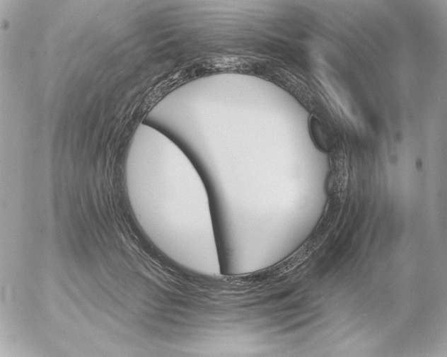 X0000052940653200507221148