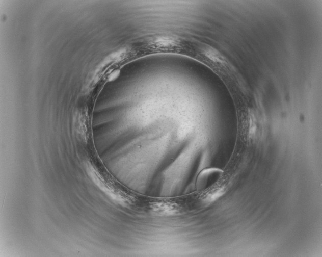 X0000052940654200507221148