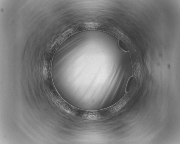 X0000052940655200507221148