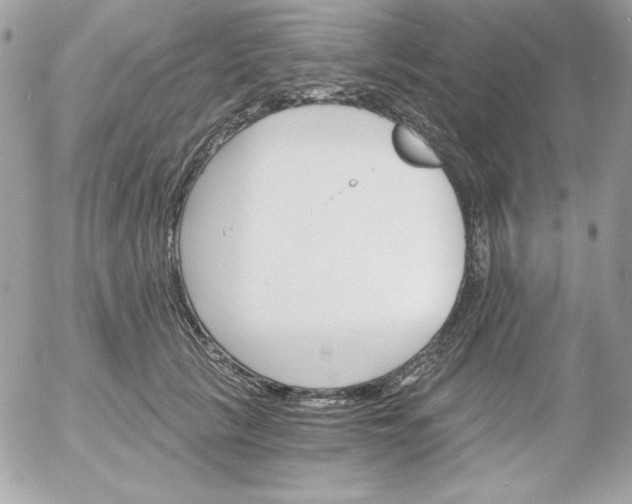 X0000052940657200507221148