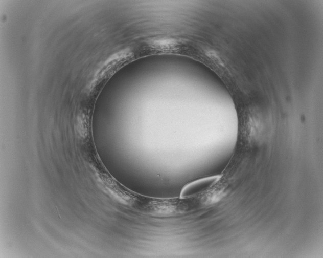 X0000052940658200507221148