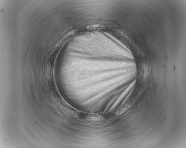 X0000052940659200507221148