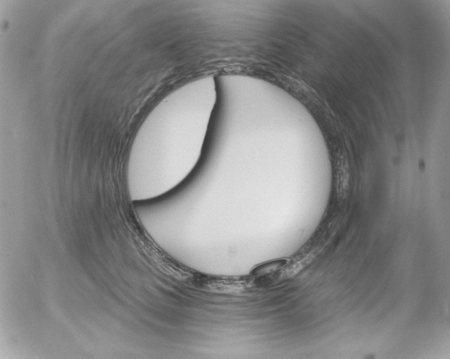 X0000052940661200507221148