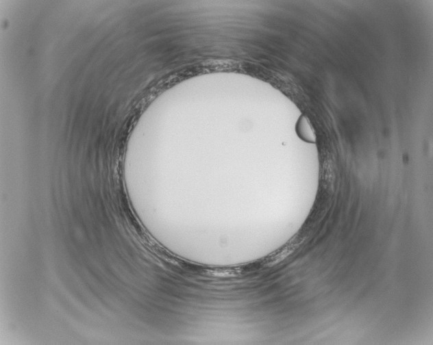 X0000052940662200507221148