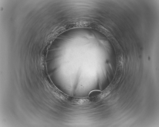 X0000052940663200507221148