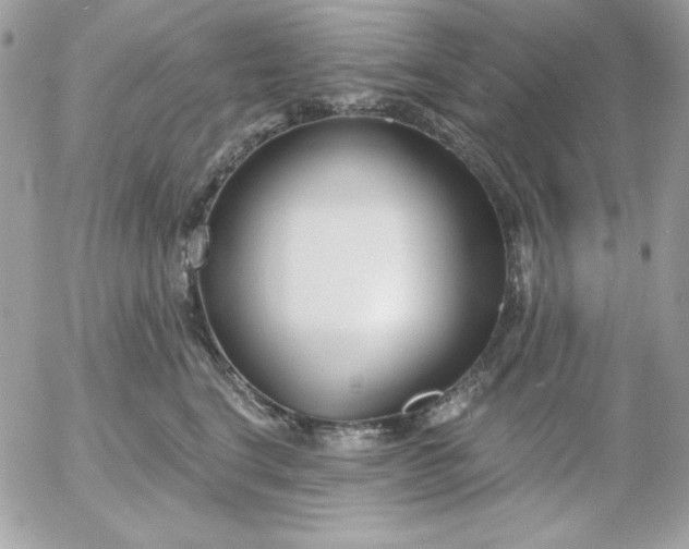 X0000052940664200507221148