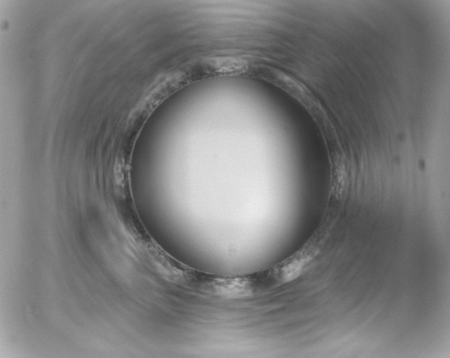 X0000052940667200507221148