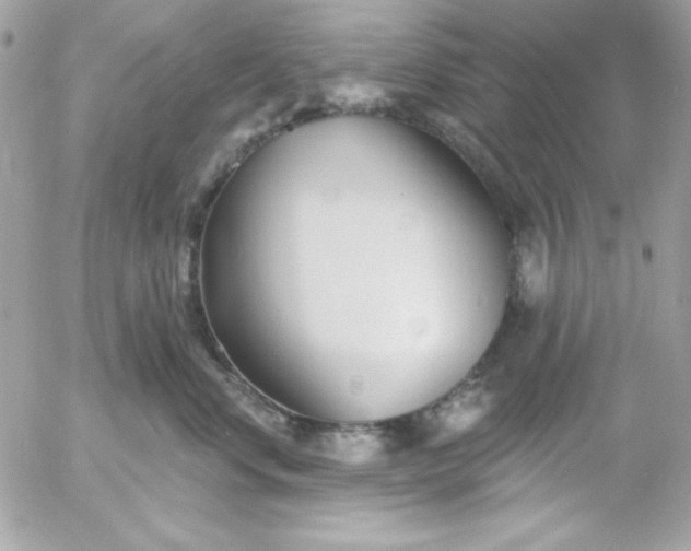 X0000052940668200507221148