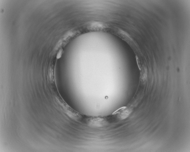 X0000052940669200507221148