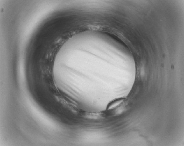 X0000052940671200507221148