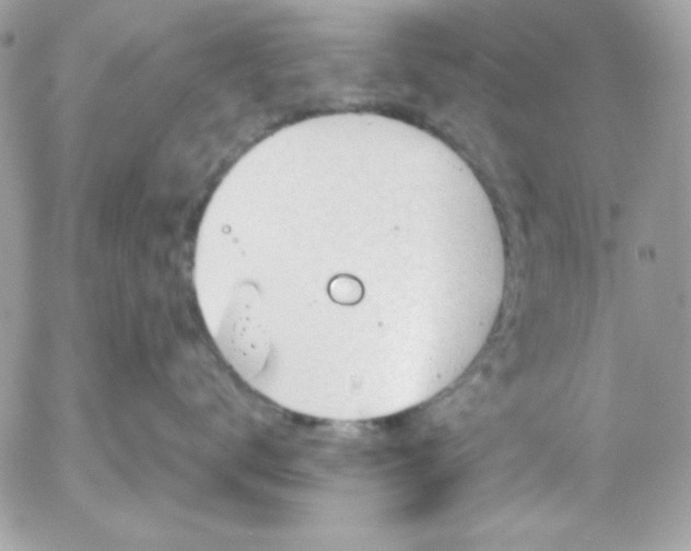 X0000052940672200507221148