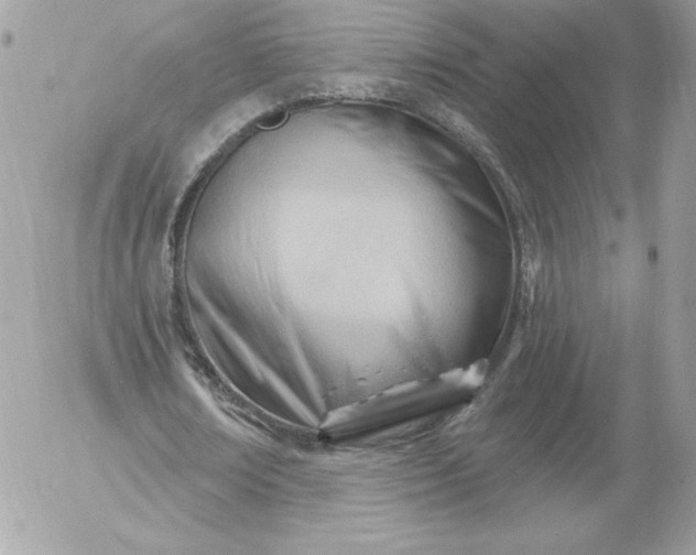 X0000052940674200507221147