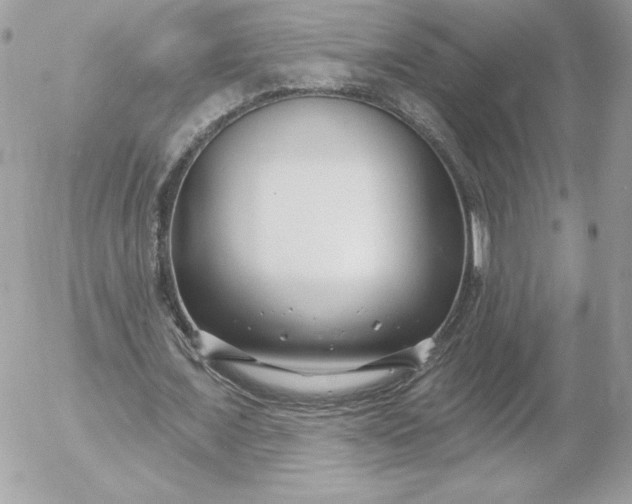 X0000052940675200507221147