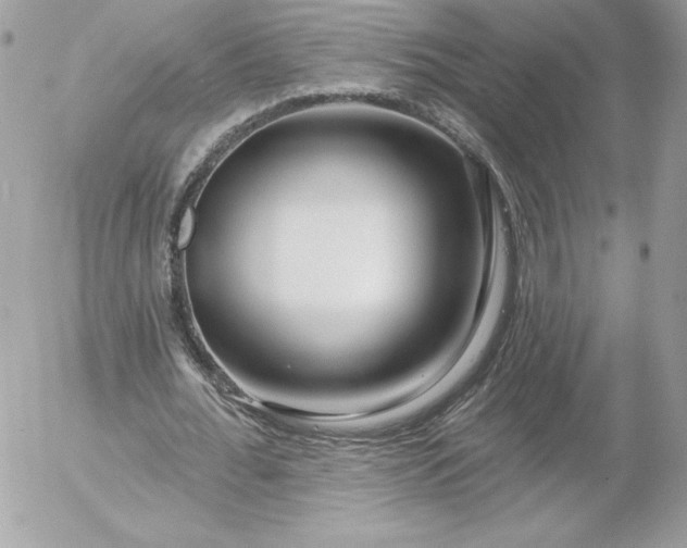 X0000052940676200507221147