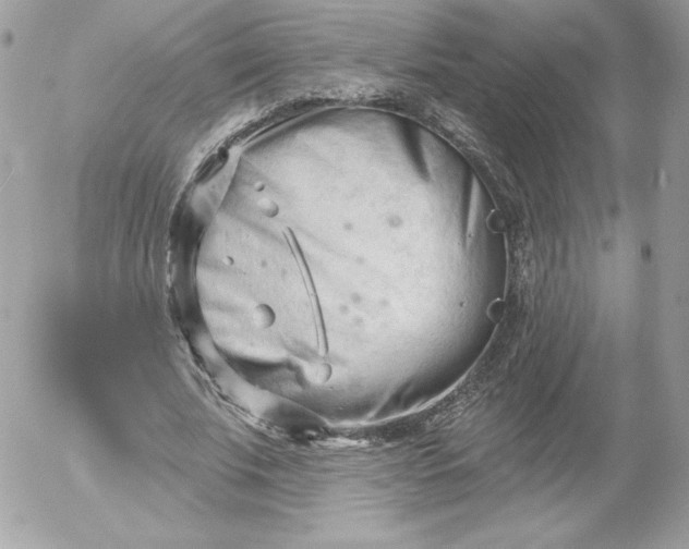 X0000052940679200507221147