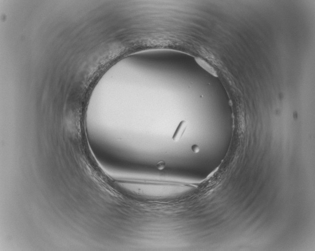 X0000052940681200507221147