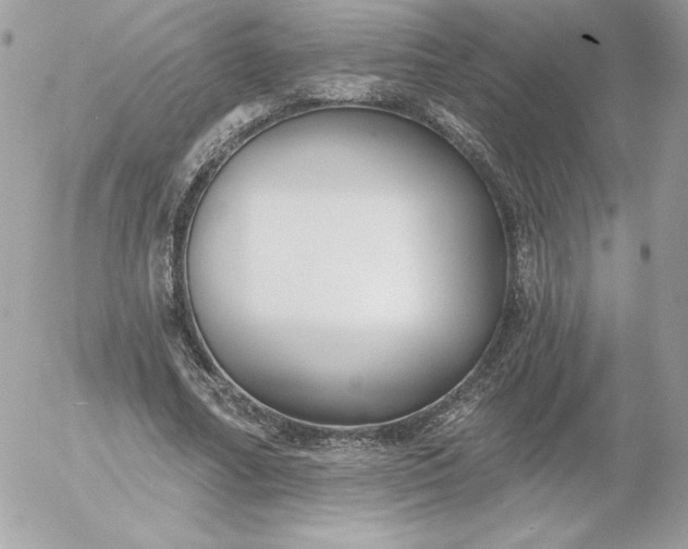 X0000052940682200507221147