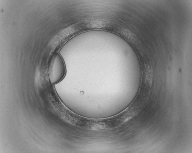 X0000052940683200507221147