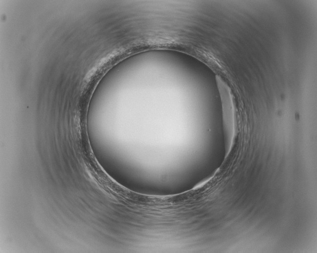 X0000052940684200507221147