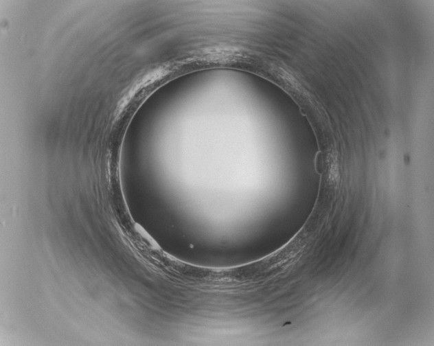 X0000052940685200507221147