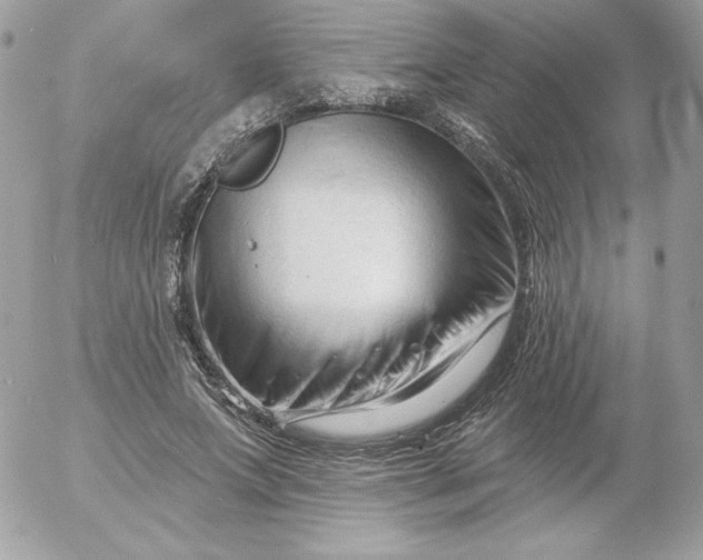 X0000052940687200507221147