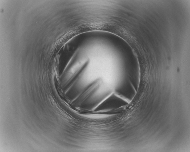 X0000052940689200507221147