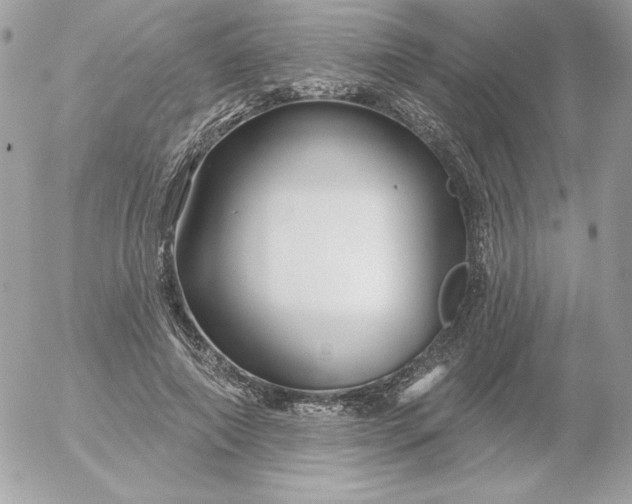 X0000052940690200507221147