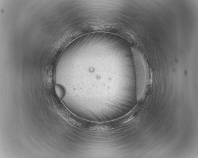 X0000052940691200507221147