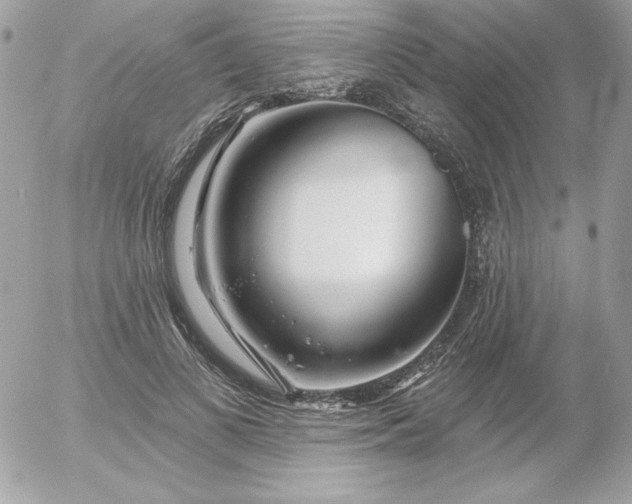 X0000052940693200507221147