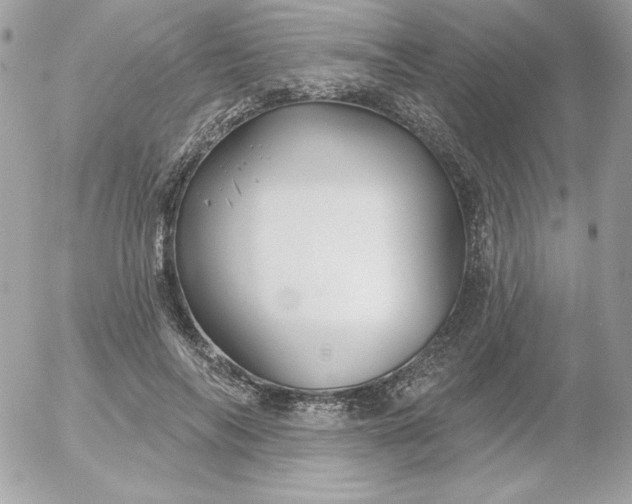 X0000052940694200507221147