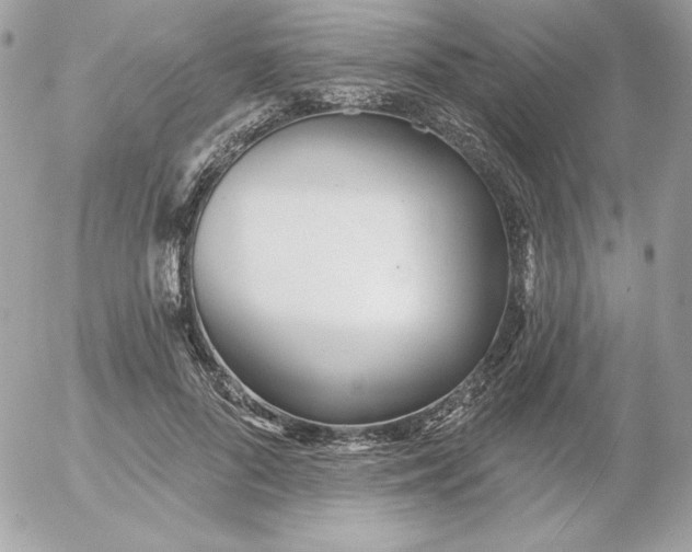 X0000052940696200507221147