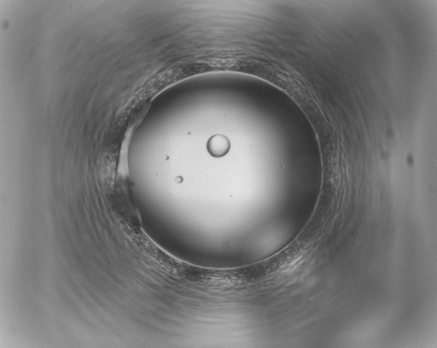 X0000052940697200507221147