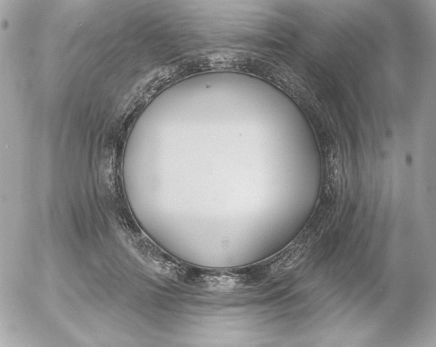 X0000052940698200507221147