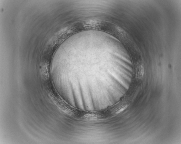 X0000052940699200507221147